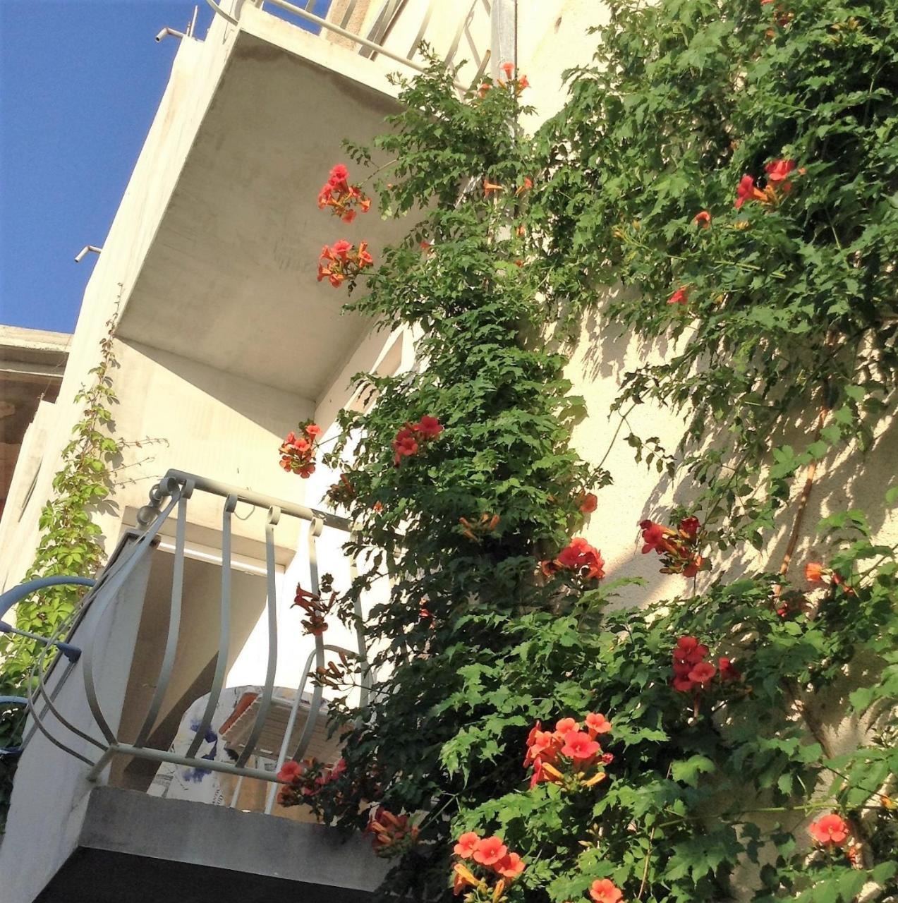 Apartments Leut Drasnice Habitación foto